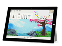 泸溪Surface 无法开启、Windows 无法启动或电池无法充电